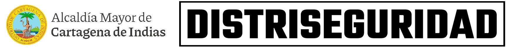 Logo distriseguridad
